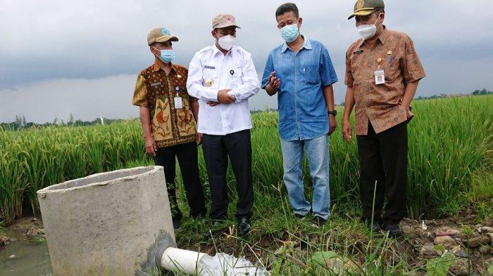 Bupati Pemalang Mukti Agung Wibowo, bersama Wakil Bupati Pemalang Mansur Hidayat, saat meninjau irigasi areal persawahan di Kecamatan Petarukan, beberapa waktu lalu.