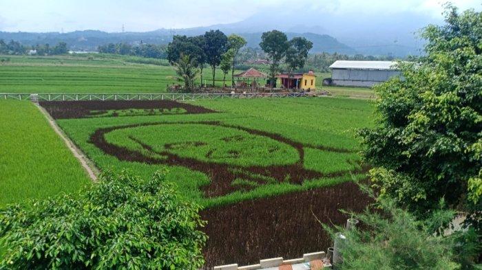 Gambar Ganjar Pranowo di Sawah Bergas Lor dekat Lodji Londo Cafe dengan drone.