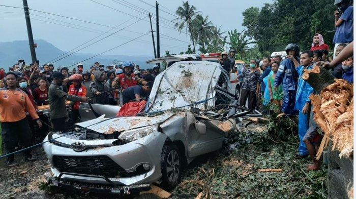 Kondisi mobil yang dinaiki delapan orang asal Desa Karangtengah, Kecamatan Cilongok, Banyumas, usai tertimpa pohon randu, di Jalan Raya Pemalang-Randudongkal, Sabtu (6/3/2021) sore.