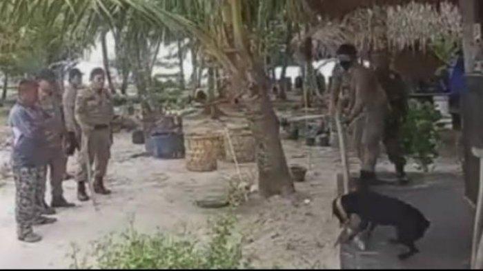 Tangkapan layar rekaman video penangkapan anjing Canon di Aceh oleh Satpol PP, sebelum akhirnya tewas. (Instagram/@rosayeoh)
