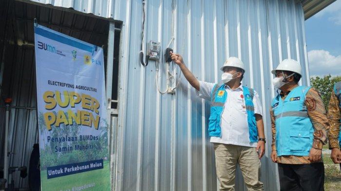 Program Electrifying Agriculture PLN telah dimanfaatkan banyak pelaku usaha agribisnis di Jawa Tengah