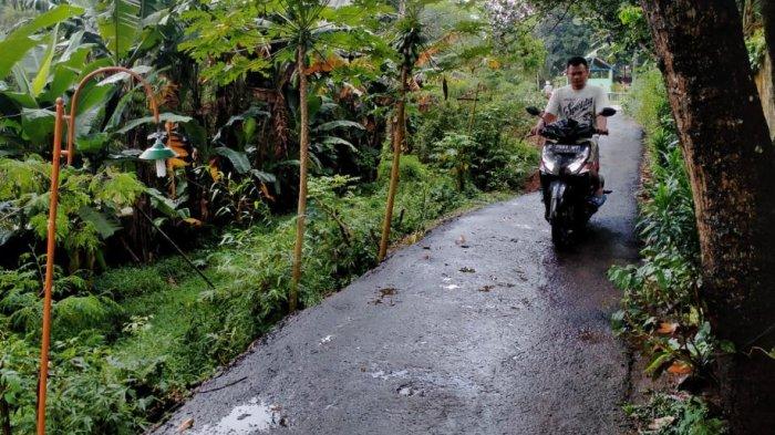 BPBD dan DPU-Taru Kabupaten Pekalongan saat meninjau jalan longsor.