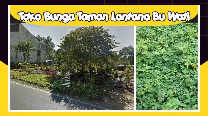 toko bunga lantana bu wati