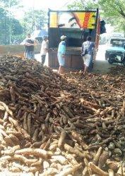 Kecelakaan antara tronton muatan gandum dan truk muatan singkong di tanjakan Jalan Perintis Kemerdekaan, Banyumanik, Kota Semarang, Sabtu (27/2/2021).