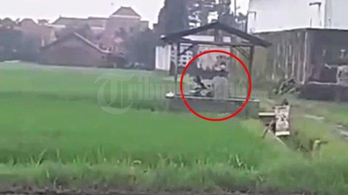 Tangkapan layar video mesum di gubuk sawah Pekalongan.