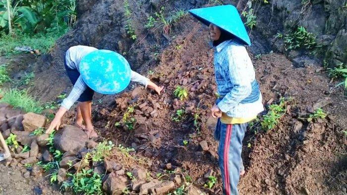 Warga berjibaku memindahkan material longsor yang menutupi jalur alternatif Desa Suru ke Desa Wanarata, Kecamatan Bantarbolang, Kabupaten Pemalang, Kamis (11/2/2021).