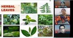 Jamu dan Produk Herbal Harus Diangkat Jadi Lebih Berkelas