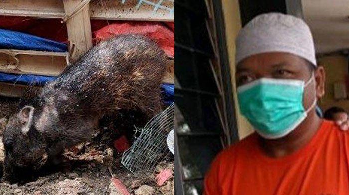 Adam Ibrahim, ustaz pelaku kehebohan babi ngepet
