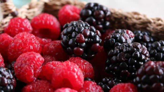 Ilustrasi buah Berries.