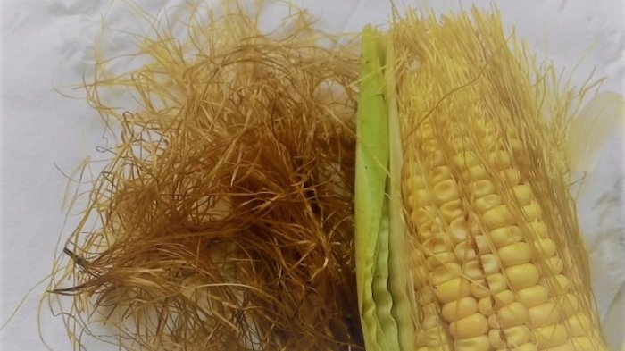 Rambut Jagung
