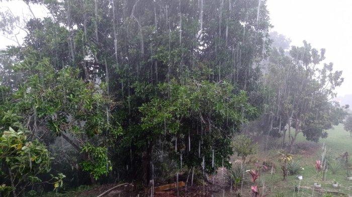 Hujan ringan di Pulau Nunukan, belum lama ini.