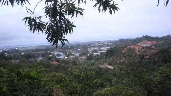 Suasana pagi hari saat camping di Gunung Selatan, Kota Tarakan.