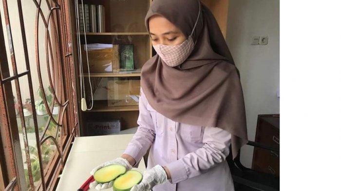 Petugas Karantina Pertanian memeriksa buah mangga sebelum diekspor. Dukung Gratieks Karantina Pertanian Tarakan Wilke Nunukan fasilitasi ekspor buah ke Malaysia hingga 7.110 kilogram pada 12 April lalu.