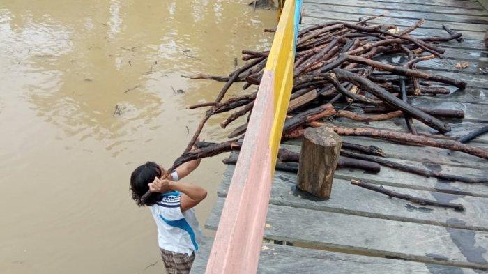 Lia, Warga Tanjung Selor Hulu terlihat sedang memilah dan mengumpulkan ranting kayu yang hanyut di Jembatan Bulu Perindu untuk digunakan sebagai kayu bakar ( TRIBUNKALTARA.COM / MAULANA ILHAMI FAWDI )