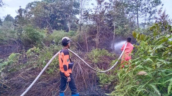 Ilustrasi petugas saat tengah berusaha memadamkan kebakaran hutan dan lahan di Bulungan, Kaltara pada 2021 lalu.