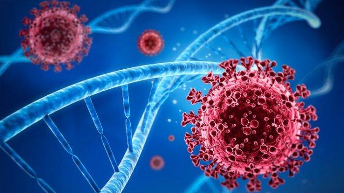 Ilustrasi mutasi virus corona Brasil. Dalam suatu studi, ilmuwan menemukan varian baru virus corona Brasil lebih menular dan dapat meningkatkan risiko infeksi ulang Covid-19. Saat ini, varian virus P.1 itu telah muncul di Inggris.