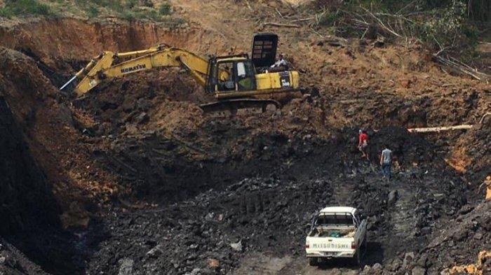 Perusahaan Batu Bara beroperasi di Kalimantan Timur