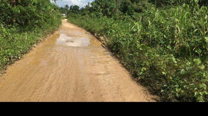 Kondisi jalandari Desa Loh Sumber ke Desa Sungai Payang Kecamatan Loa Kulu Kutai Kartanegara masih sangat memprihatinkan. TRIBUNKALTIM.CO, ARIS JONI