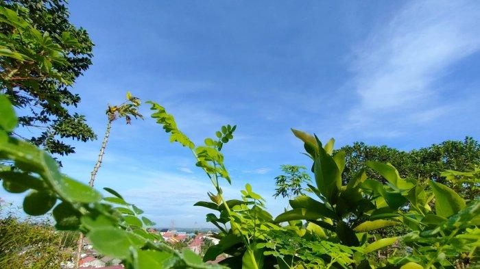 Cuaca cerah di kawasan Gala Puncak, Provinsi Kalimantan Timur.