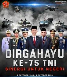Dirgahayu TNI, Sinergi untuk Negeri