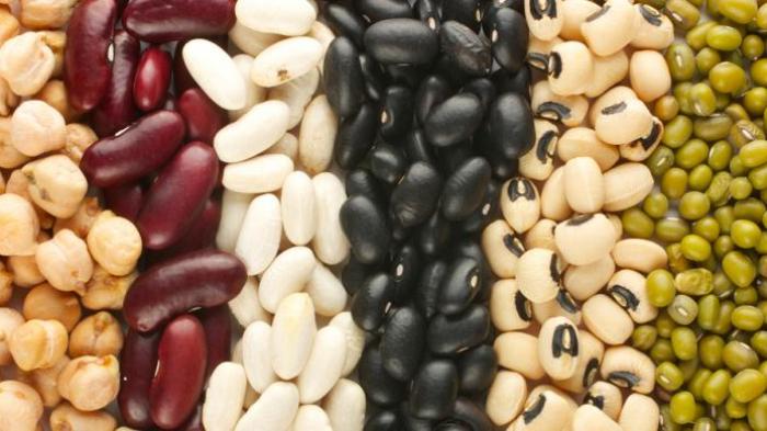 Kacang-kacangan