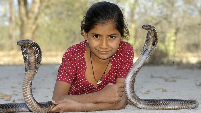 Kajol, gadis cilik yang memiliki kebiasaan aneh bermain dengan ular-ular kobra ganas yang menjadi hewan peliharaannya.