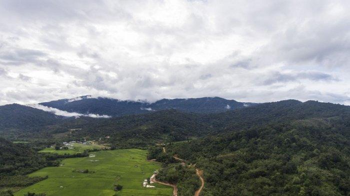 Suasana pegunungan dan hamparan sawah di desa Long Midang, Krayan, Kabupaten Nunukan, Kalimantan Utara