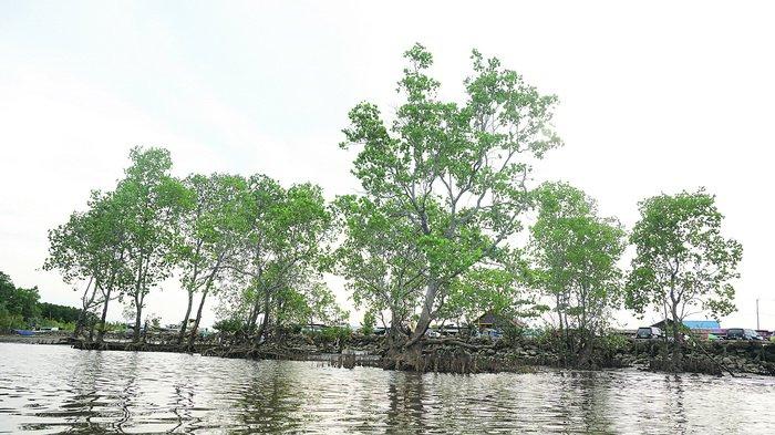 Suasana di Pantai Kenyamukan yang terletak di Kota Sangatta, Kabupaten Kutai Timur.