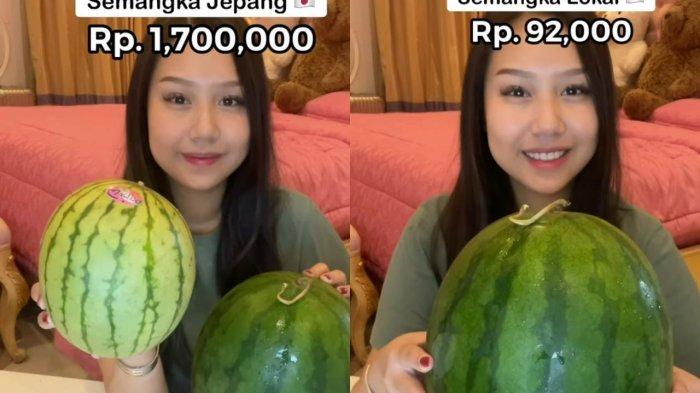 perbandingan harga semangka Jepang dan Lokal