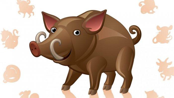 Babi termasuk salah satu dari 5 shio yang diramalakan akan mengalami peruntungan pada Jumat 9 April 2021