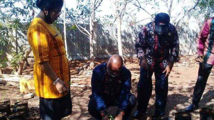 PENANAMAN CABAI -- Kepala Dinas Pendidikan dan Kebudayaan Kota Kupang, Dumul Djami menanam pohon di area Rumah Pintar
Area lampiran