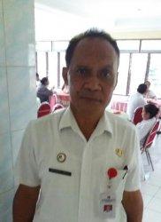 Hama Grayak Serang 600 Hektar Tanaman Jagung di Belu, Pemerintah Lakukan Pengendalian