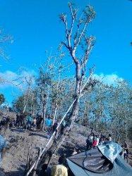 Kasus Pembunuhan Nimrod Tameno Masih Dalam Penyelidikan