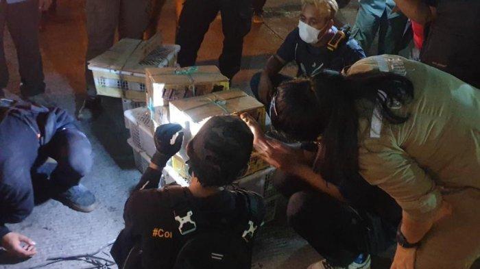 Satwa ilegal yang diamankan petugas dalam operasi terpadu di Pelabuhan Bakauheni, Lampung Selatan, Jumat (8/1/2021).