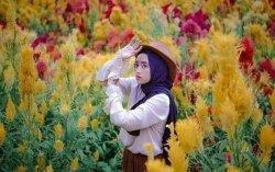 Taman Bunga Celosia Umbul Helau, Tempat Wisata Lampung Kedepankan Nilai Edukasi