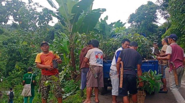 Warga Desa Gunung Gijul, Kecamatan Abung Tengah, Lampung Utara menanam berbagai pohon langka, Minggu (17/1/2021).
