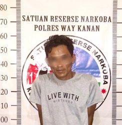 Jadi Pengedar Sabu, Warga Baradatu Diamankan Polres Way Kanan