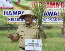 Gubernur Arinal Djunaidi Akan Terima Penghargaan Bidang Pertanian Abdi Bakti Tani 2021