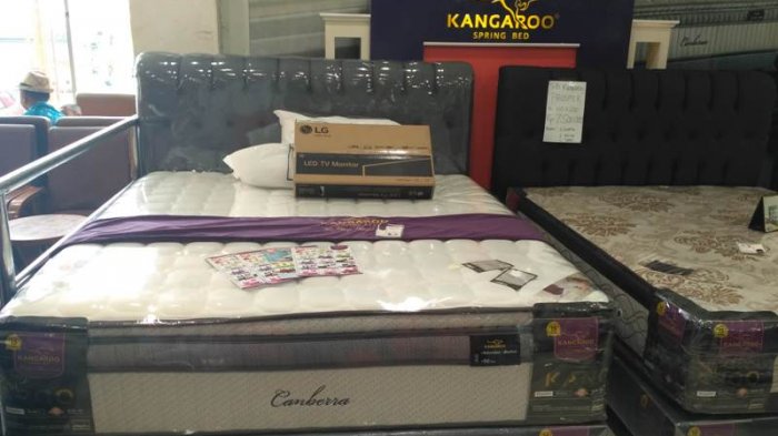 Beli Springbed Kangaroo Berhadiah Led Tribun Lampung