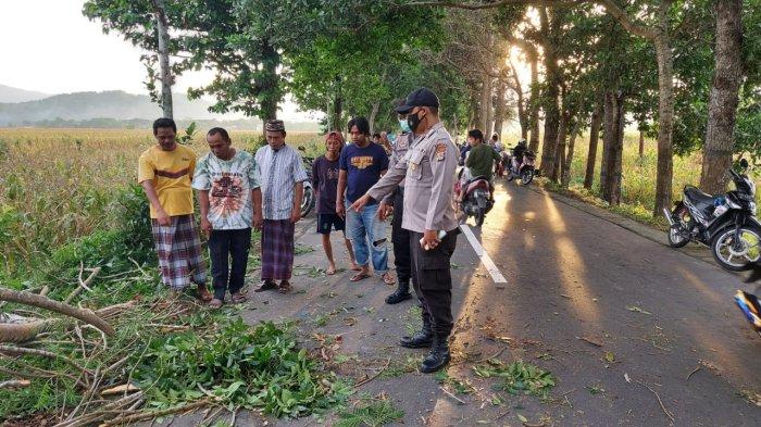KECELAKAAN: Lokasi pohon tumbang di jalan raya Dasan Geres menuju Desa Babussalam, Lombok Barat yang menyebabkan korban meninggal, Senin (8/11/2021).