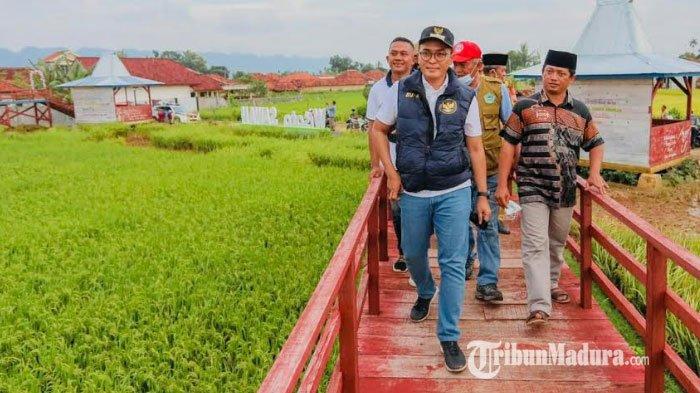 Bupati Pamekasan, Baddrut Tamam (kiri dari depan) saat melihat wisata sawah di Desa Bajang, Kecamatan Pakong, Kabupaten Pamekasan, Madura, Senin (1/3/2021) kemarin.
