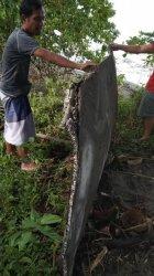 Warga Patulana Mamuju Tengah Temukan Benda Mirip Serpihan Pesawat