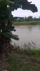 Korban Tenggelam di Sungai Budong-budong Mateng Belum Ditemukan, Pencarian Terkendala Arus