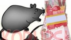 Pengakuan Tersangka Korupsi, Dana BOK Dipakai Acara HUT Bulukumba dan Layani Tamu Pemda