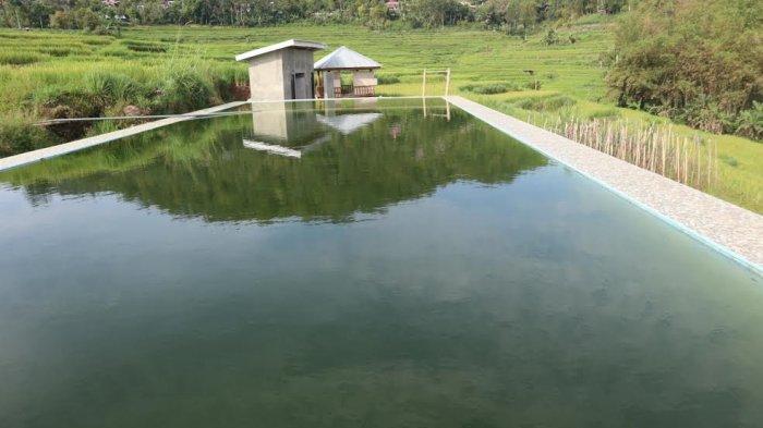 Kolam renang di tengah sawah ini dibuat oleh masyarakat sekitar Wisata Kampung Galung, Desa Barania, Kecamatan Sinjai Barat