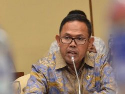 Akmal Pasluddin Minta Pemerintah Ganti Lahan Petani Gegera Ini