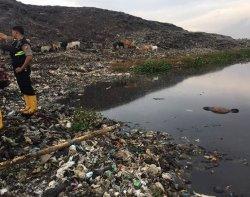 BREAKING NEWS: Warga Temukan Mayat Mengapung di Sekitar TPA Tamangapa