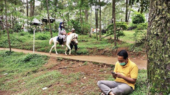 Pengunjung dengan menggunakan masker menikmati sensasi berkuda mengelilingi Taman Wisata Alam Malino Gowa, Senin (28122020). Cukup membayar Rp 20 ribu, pengunjung Taman Wisata Alam Malino bisa berkuda sepuasnya mengelilingi hutan yang dipenuhi pohon pinus ini. tribun timurmuhammad abdiwan