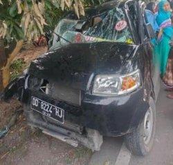 Mobil Pick Up Asal Bulukumba Penyok Tabrak Pohon Mangga di Luwu