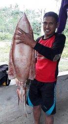 Gempar, Nelayan Desa Labuang Rano Mamuju Tangkap Cumi-cumi Raksasa, Beratnya 14 Kilogram